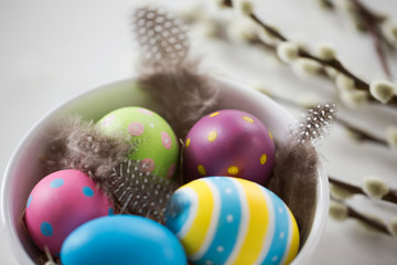 holidays and object concept - colored easter eggs with quail feathers in bowl and pussy willow branches on white background