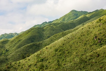Fototapeta na wymiar Grassy mountain tops in China