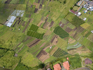 Fototapeta premium Aerial view of forest nature at Batu Malang city in East java, Indonesia. One of the best destination in east java