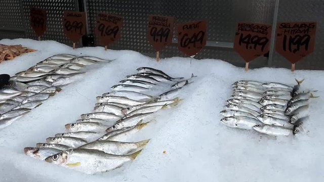 variety of fresh fish for sale in a local fresh market