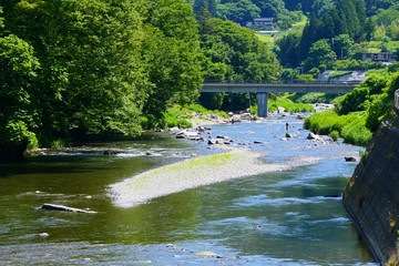 Fototapeta premium Sezon Ayu. Rzeka Kesen latem. Rikuzentakata Iwate Japan. Wczesny lipiec.