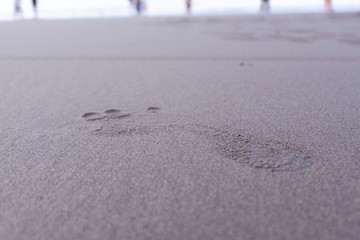 footprints on the beach