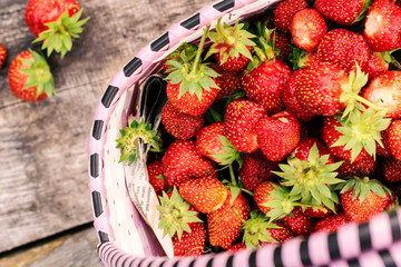 Juicy strawberries in basket in garden, summer in village, farm, harvesting berries.