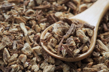 Anzelica of herbal Teas