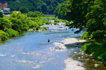 鮎釣りの名所、夏の気仙川。陸前高田　岩手　日本。７月上旬。