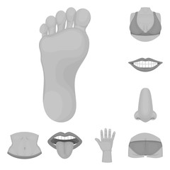 Isolated object of body and part symbol. Set of body and anatomy stock symbol for web.