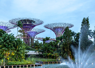 Supertrees in Gardens by the Bay at night