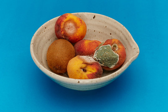 Bowl of rotting fruit