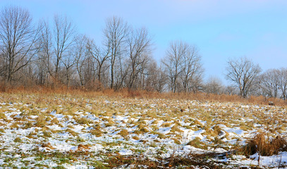 An empty field in late autumn or early winter as the last grass dies and is taken over by snow. 