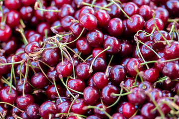 Georgia, Tbilisi, The central city market. Freshly harvested cherries.