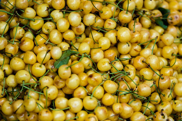 Georgia, Tbilisi, The central city market. Freshly harvested yellow cherries.