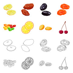Isolated object of food  and raw  icon. Collection of food  and nature   stock symbol for web.