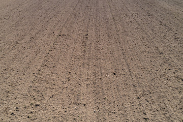 clean ploughed land in spring lit by the sun