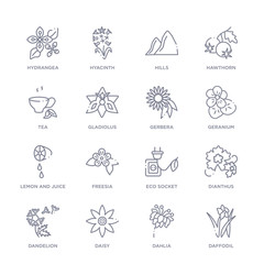set of 16 thin linear icons such as daffodil, dahlia, daisy, dandelion, dianthus, eco socket, freesia from nature collection on white background, outline sign icons or symbols - obrazy, fototapety, plakaty