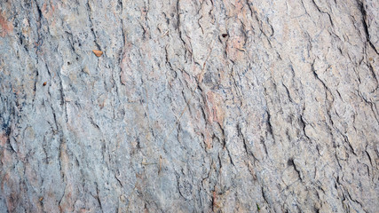 rock stone background or texture