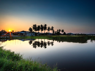 Reflection of palm and coconut trees on the water surface against beautiful sunrise background