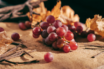 Red grapes lies on the bag - 251828287