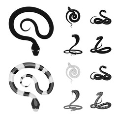 Fototapeta premium Vector illustration of mammal and danger logo. Collection of mammal and medicine vector icon for stock.