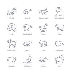 set of 16 thin linear icons such as fly, boar, kangaroo, piranha, hedgehog, lion, wolf from animals collection on white background, outline sign icons or symbols