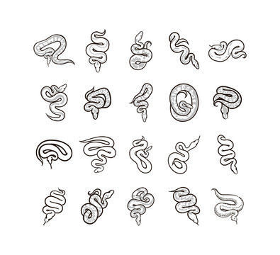 Vector hand drawn snake sign symbol illustration on white background
