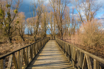 Obraz na płótnie Canvas A wooden walkway in the Kopacki Rit Nature Reserve in winter in north east Croatia. Located by the Serbian border, close to the confluence of the Drava and Danube rivers, it is one of the largest and 