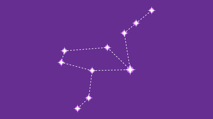 Grus constellation vector design © alionaursu