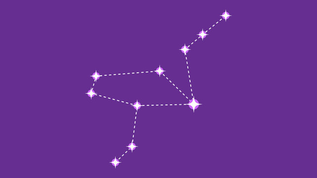 Grus constellation vector design