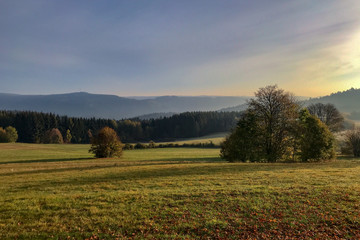 Fototapeta na wymiar Schwarzwald Herbst 