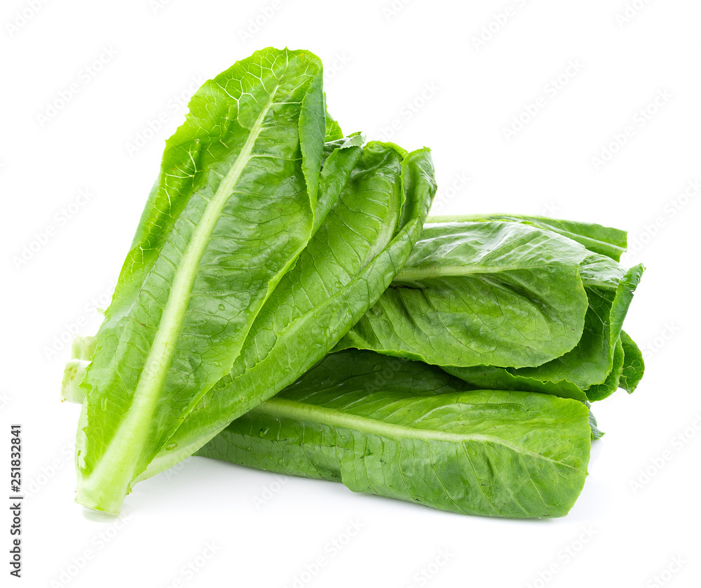 Wall mural fresh cos lettuce isolated on white background