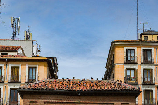 Roof  of the Sculpture of Daoiz y Velarde, at the Malasa&ntilde;a Square, Madrid, Spain.