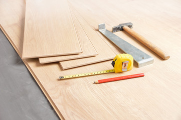 Planks of laminate floor and tools to install them