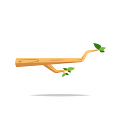 Tree branch vector isolated illustration