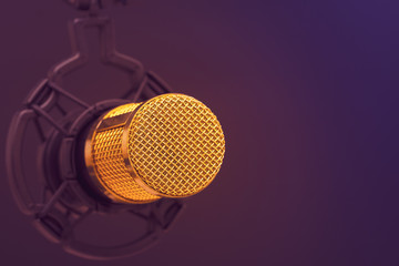 Close-up the head of condenser gold microphone. Composition on the left side with free space on the right. Artistic style.