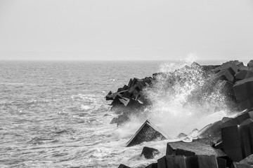 Coastal Waves