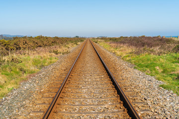 Empty and rusty railroad going in a straight line towards the horizon. Train tracks in the Wicklow...