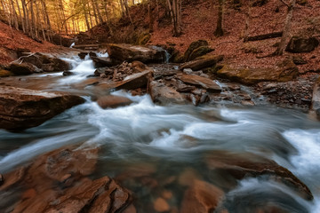 Forest stream in the Carpathian mountains. Ukraine.