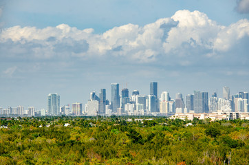 Fototapeta na wymiar Miami Skyline vor Mangroven Wald, Natur und Stadt
