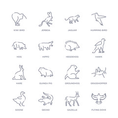 set of 16 thin linear icons such as flying dove, gazelle, gecko, goose, grasshopper, groundhog, guinea pig from animals and wildlife collection on white background, outline sign icons or symbols