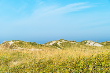 Fototapeta premium Dünen und Salzwiesen St. Peter-Ording