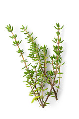 Fresh thyme sprigs isolated on white from above.