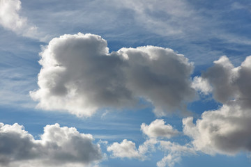 Naklejka na ściany i meble fluffy pet-shaped cloud