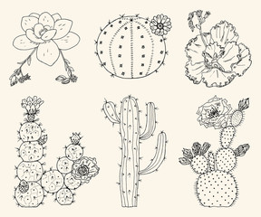 Home cactus plants and flowers. Set of cozy cute elements. Collection of Exotic or tropical succulents with prickles. Engraved hand drawn in old sketch and vintage doodle style.