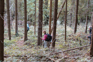 A group of tourists with backpacks goes hiking.