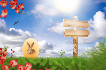 Osterhase auf einer grünen Wiese. Eier.