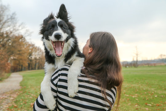 A young border collie puppy is carried by his owner and looks like he screams. But he is very happy but also tired. 