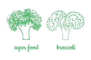 Hand drawn broccoli line icon isolated on white background. Vegetable for menu, label, logo in sketch style. Simple vegetarian super food sign. Health eating ingredient. Vector illustration