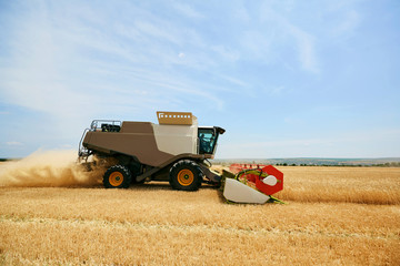 Agricultural harvester working in a wheat field