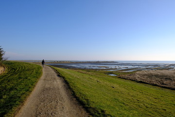 Fototapeta premium long way 