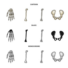 Obraz premium Vector illustration of medicine and clinic symbol. Set of medicine and medical stock symbol for web.