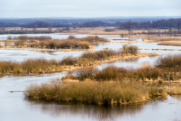 Biebrzański Park Narodowy. Wiosenne rozlewiska Biebrzy